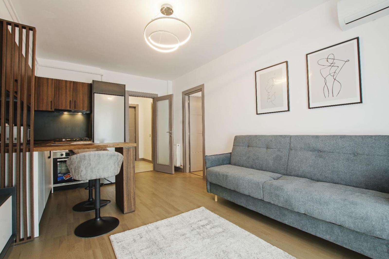 Himson-Brown Apartment Iasi Buitenkant foto